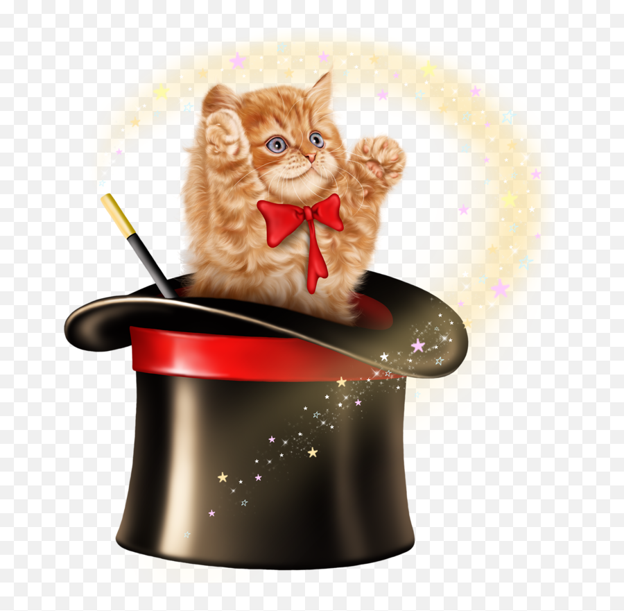 Download Hd Cat In Magic Hat Transparent Png Image - Nicepngcom Cartoon A Cat In A Hat,Cat In The Hat Png