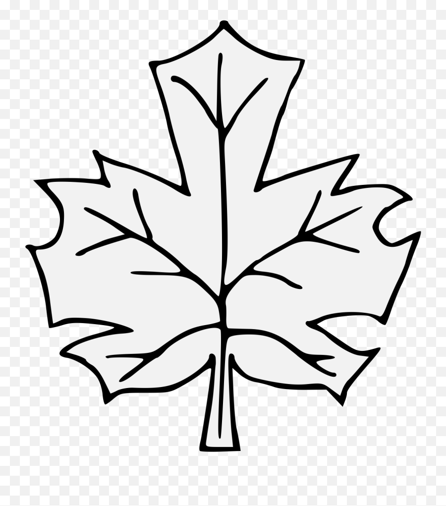 Maple Leaf Clipart Traceable - Maple Png Download Full Traceable Leaves,Maple Png