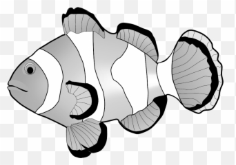 Clownfish Clipart - Clown Fish Clipart Png Transparent Png Printable Clown Fish Clipart,Clownfish Png