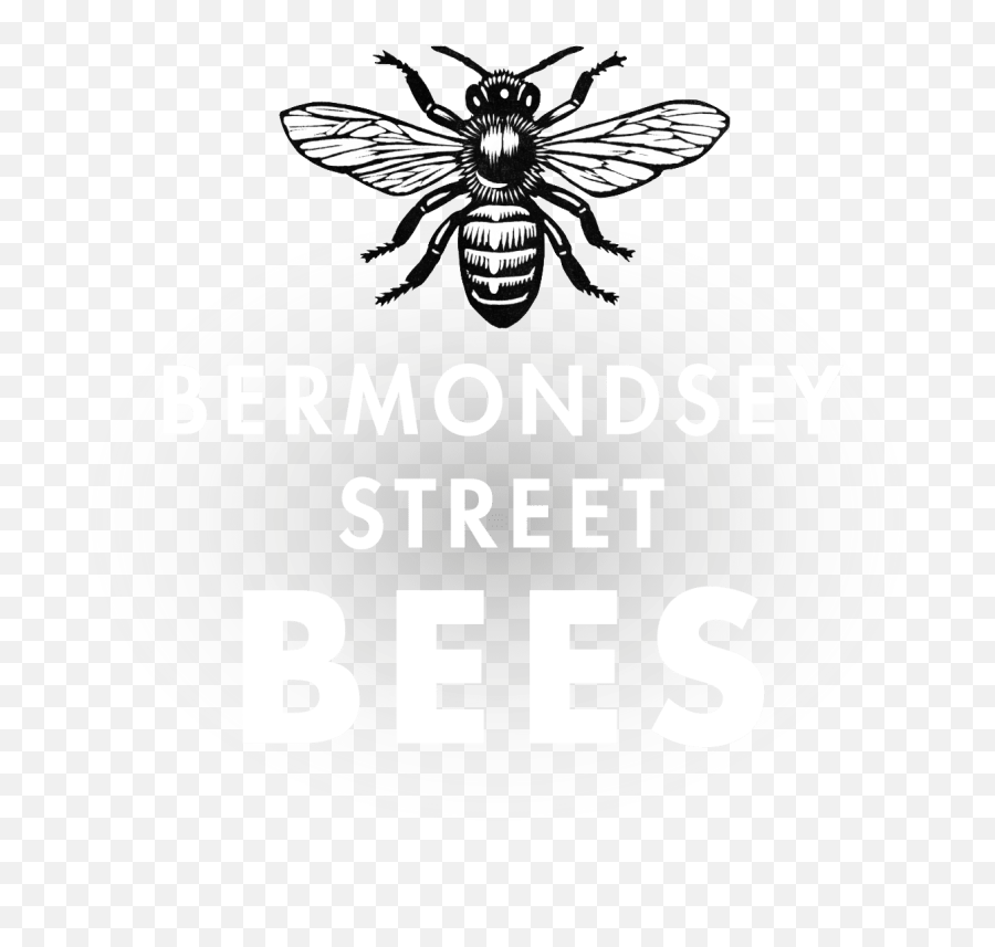 Bermondsey Street Bees - Provenance Hub Parasitism Png,Transparent Bee