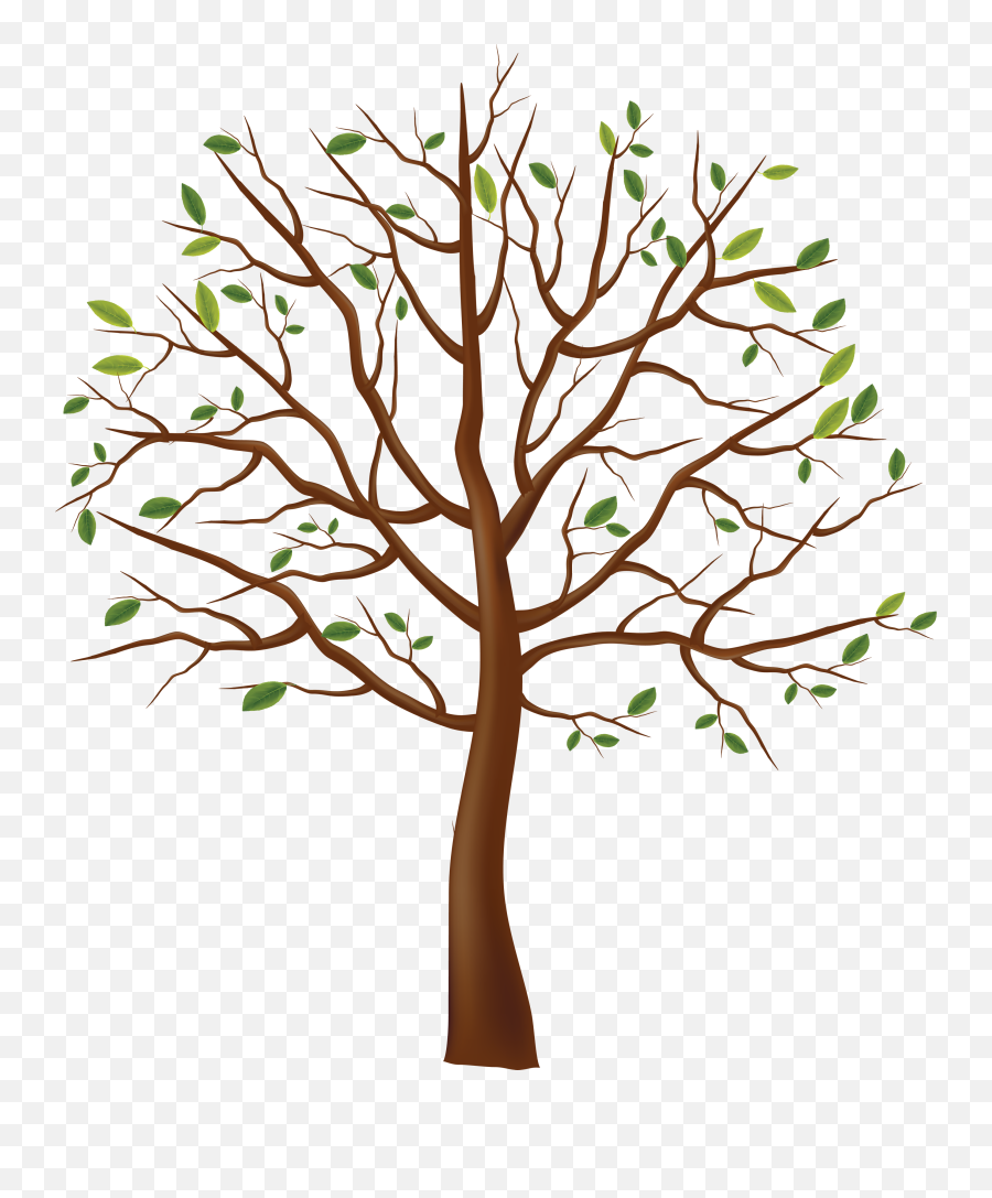 Tree - Dry Tree Png Hd,Forest Tree Png