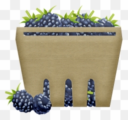 Basket Of Fruit Blackberries Berry - Blueberry Png,Blackberries Png