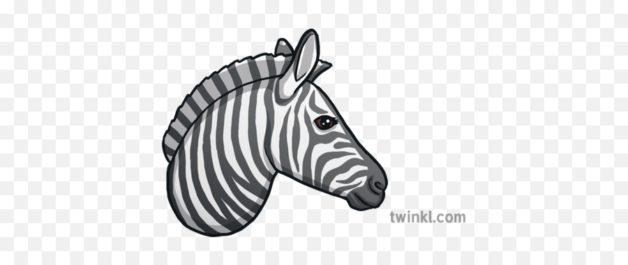 Zebra Emoji Animals Nature Twinkl - Zebra Print Png,Emoji Animals Png