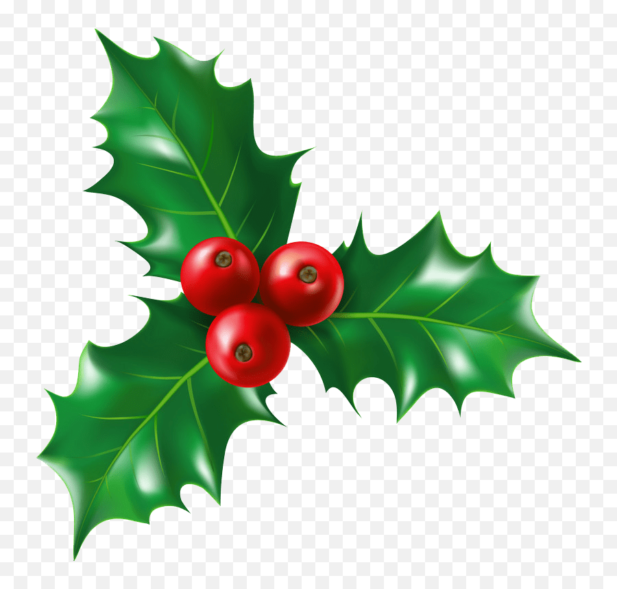Holly Clipart - Clipartworld Holly Christmas Berry Plant Png,Holly Leaves Png