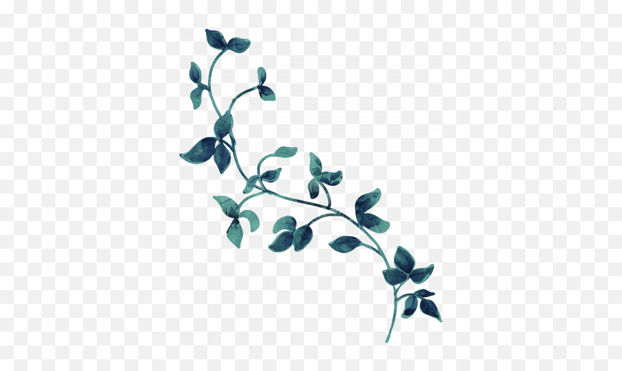 Vine Graphic - Wall Sticker Png,Vine Transparent