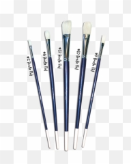 Bristle Brush Set 5 Brushes Png