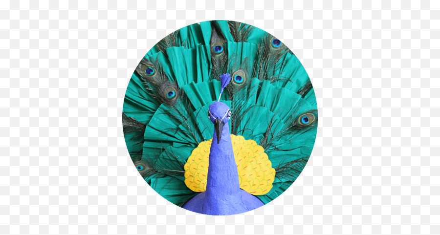 Break Free Piñatas Custom Handmade - Peafowl Png,Pinata Icon