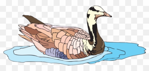 Colorful Swimming Duck Png Svg Clip Art For Web - Download