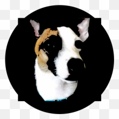 Running R And Rstudio From An Android - Klipsch Png,R Studio Icon