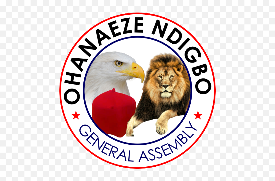 Cac De - Registers Factional Ohanaeze Ndigbo The Nigerian Xpress Ohanaeze Ndigbo General Assembly Png,Các Icon