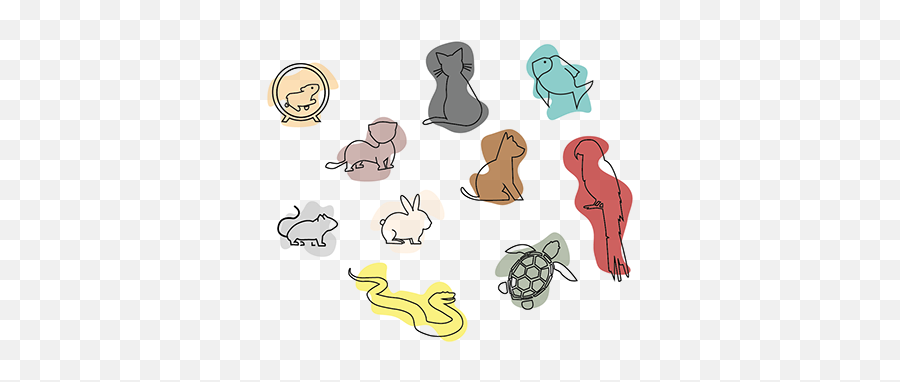 Monika Barciok - Animal Figure Png,Monika Icon