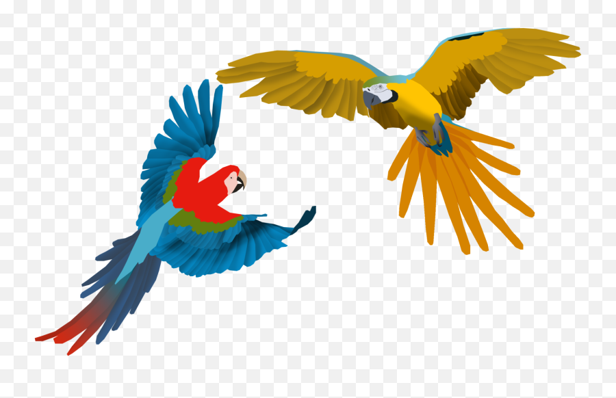 Macaw Clipart Flying - Png Download Full Size Clipart Macaw,Flying Goffin Cockatoo Cartoon Clipart Icon