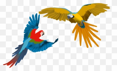 Macaw Clipart Flying - Png Download Full Size