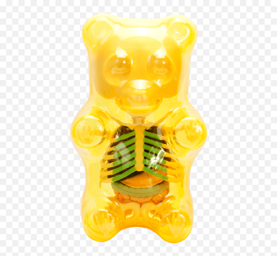 Clear Gummi Bear Funny Anatomy - Gummi Bear Skeleton Transparent Png,Gummy Bear Png
