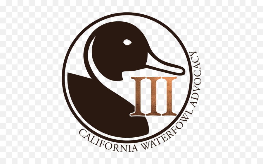 Plan To Explore 3 - Pintail Option Moves Forward U2014 California Dot Png,Duck Hunt Icon