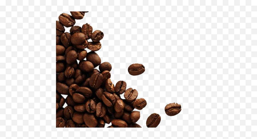 Download Cacaos Free Png Image - Granos De Café Y Cacao,Coffee Beans Transparent
