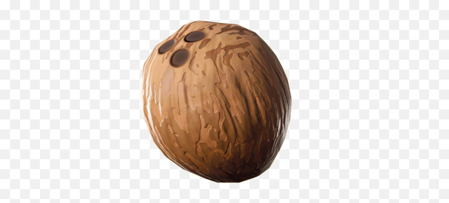 Coconut - Fortnite Palm Tree Png,Coconut Png