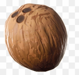 Coconut - Fortnite Palm Tree Png,Coconut Png