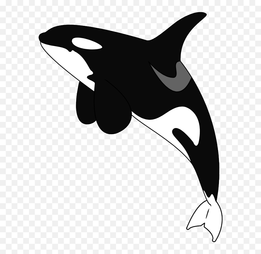 Killer Whale Png - Killer Whale Clipart Png,Orca Png