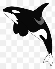 Killer Whale Png - Killer Whale Clipart Png,Orca Png
