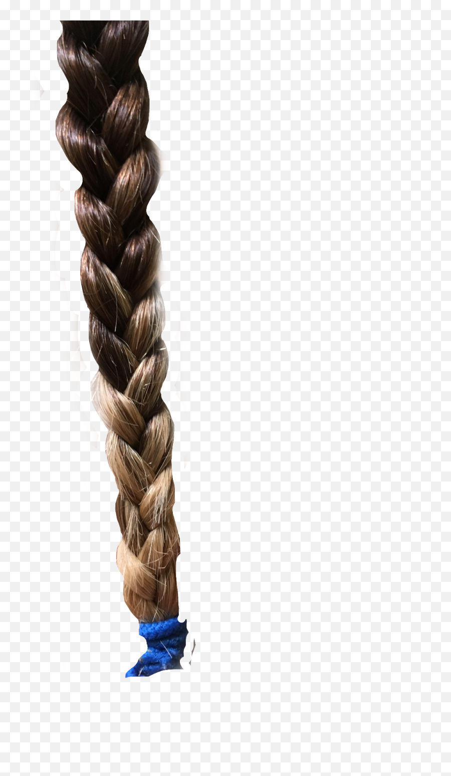 Download Free Png Hd Hair Braid Ombre Interesting - Transparent Braid Png,Wig Png