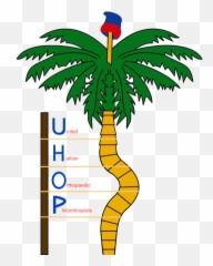 United Haitian Orthopaedic Philanthropists - Haiti Coat Of Arms Png,Haiti Flag Png