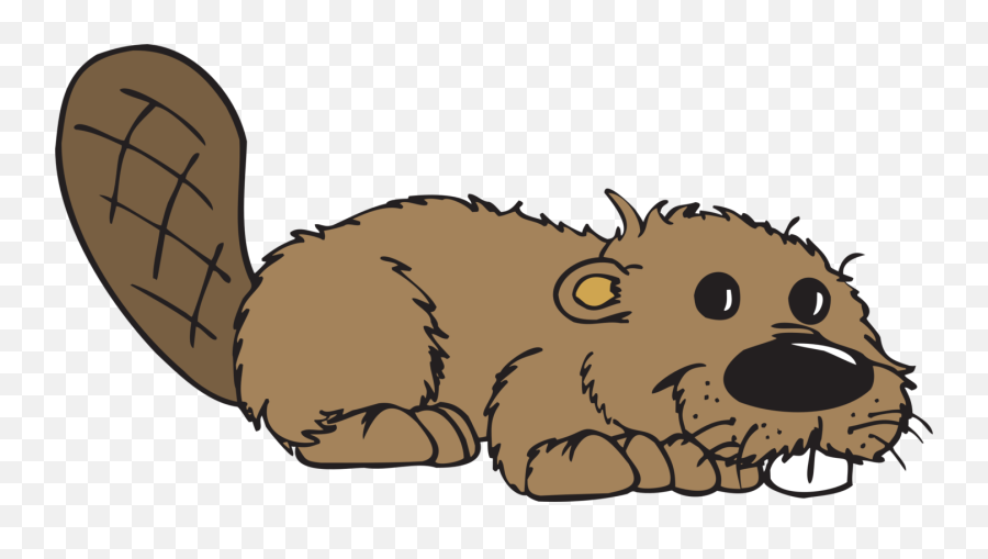 Beaver Animal Tail - Free Vector Graphic On Pixabay Beaver Clipart Transparent Png,Tail Png