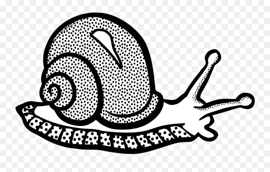 Line Artartsnail Png Clipart - Royalty Free Svg Png Snail Black And White,Snail Png