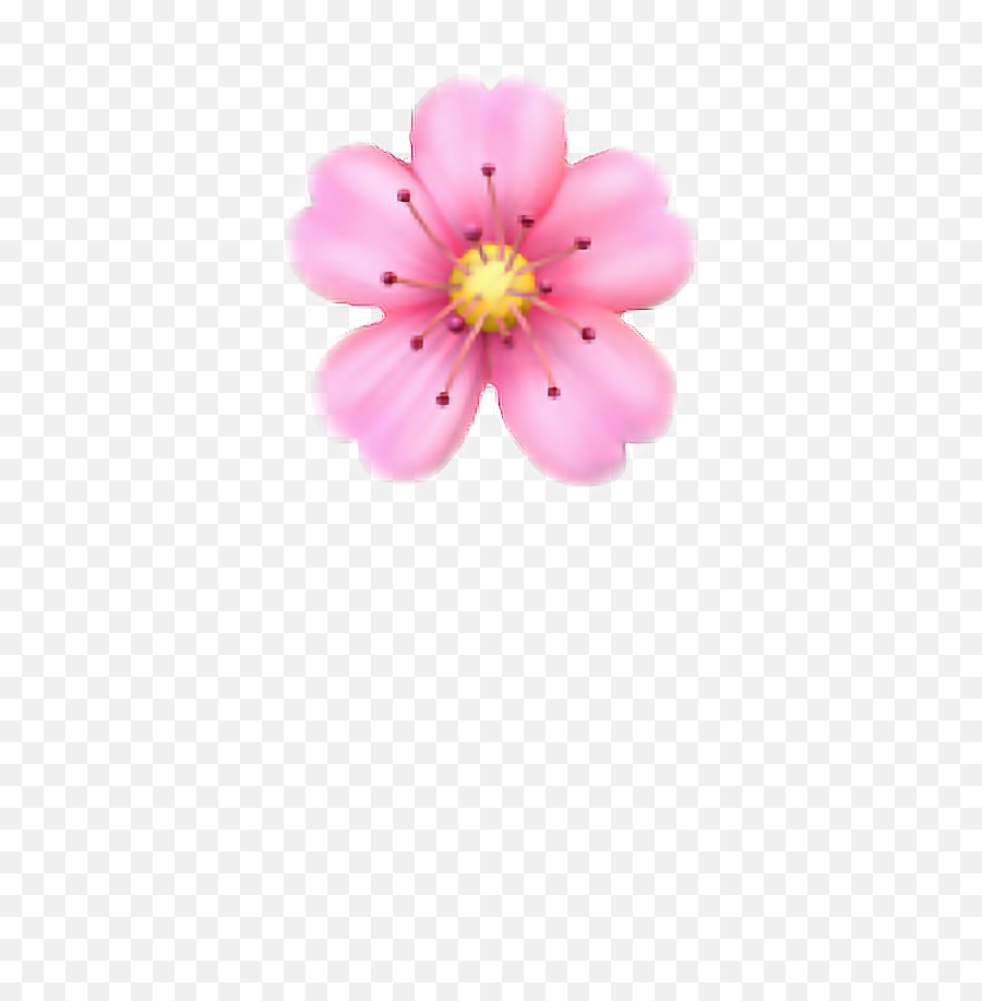 Pink Flower Emoji Png Ios Flower Emoji Transparent Flower Emoji Png Free Transparent Png Images Pngaaa Com