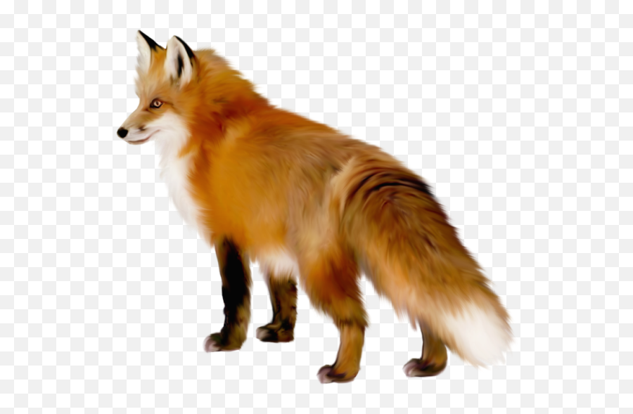 Transparent Fox Clipart - Transparent Fox Clipart Png,Fox Clipart Png