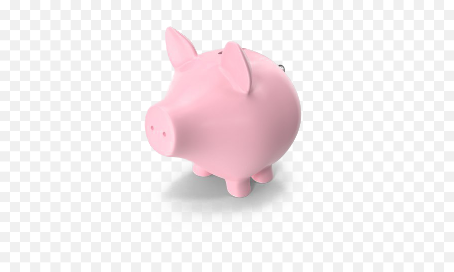 Piggy Bank Png Photo Image Domestic Pig - Domestic Pig,Piggy Bank Transparent Background
