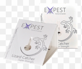 H0703l 9 Pcs Powder House Lizard Gecco Killing Sticker Trap - Paper Png,Trap House Png