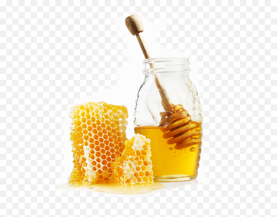 National Honey Board - Mead Honey Png,Honey Png