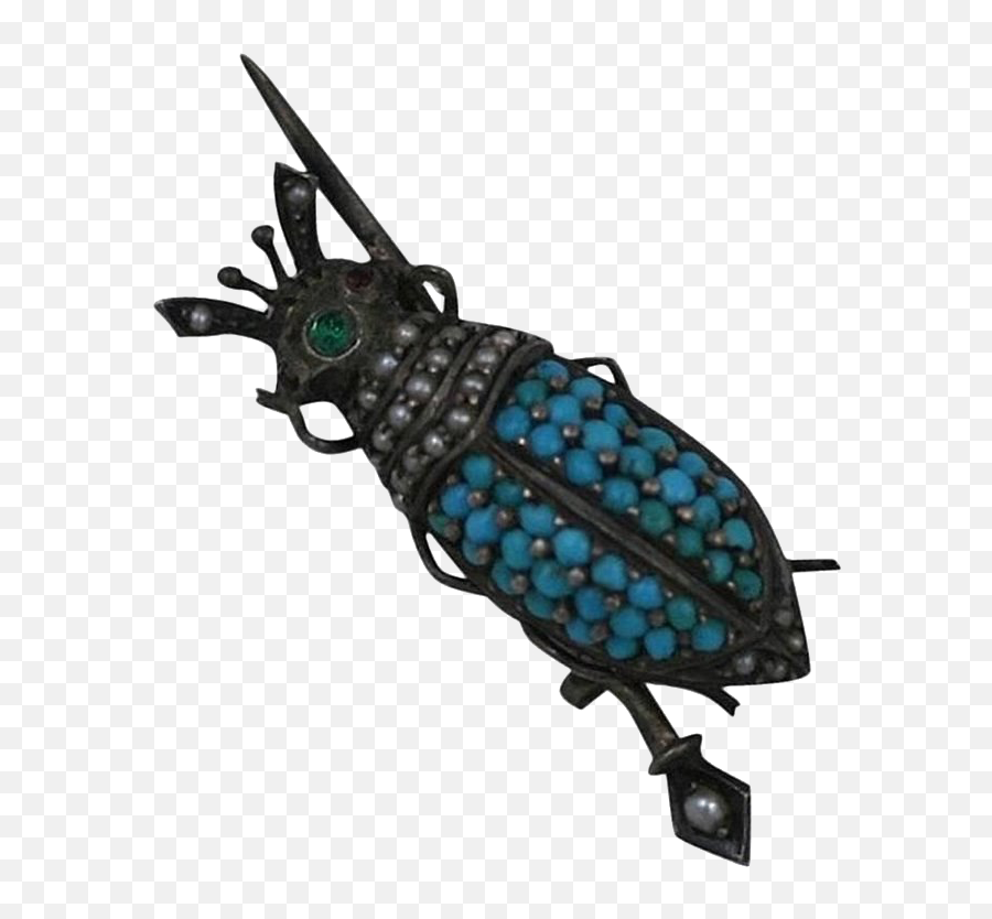 Realistic Bug Png Hd Quality Play - Parasitism,Bug Png