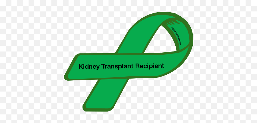 Custom Ribbon Kidney Transplant Recipie 1949104 - Png Kidney Transplant Recipient,Kidney Png