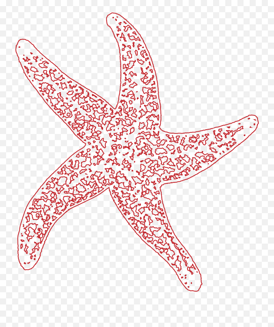 Starfish Clipart - Dot Png,Starfish Clipart Png