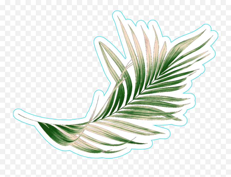 Green Palm Leaf Sticker - Illustration Clipart Full Size Palm Leaves Stickers Png,Palm Leaf Transparent