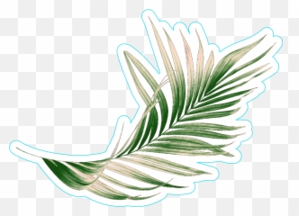 Green Palm Leaf Sticker - Illustration Clipart Full Size Leaves Stickers Png