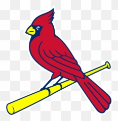 St - Louis Cardinals Clipart png
