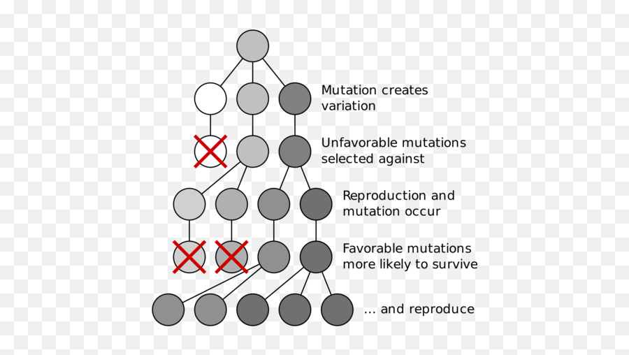 Natural Selection Flashcards - Mutations And Natural Selection Png,Natural Selection 2 Icon