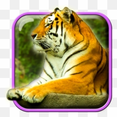 Tigers Live Wallpaper - Bengal Tiger Png,Bengal Tiger Icon
