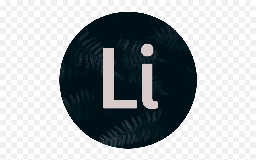 Meet The Team - Liteourites Dot Png,Discord Invisible Icon
