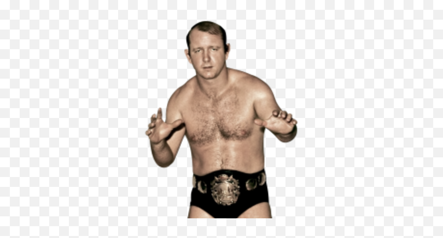 Wrestling History Journal How Do I Become A Pro Wrestler - Dory Funk Jr Png,Pro Wrestling Icon