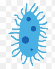 How Uv - C Technology Works Vioguard Transparent E Coli Icon png