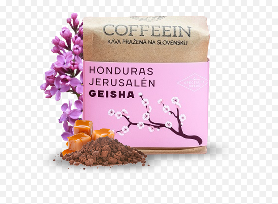 Kofioco - Kava Geisha Png,Geisha Icon Png