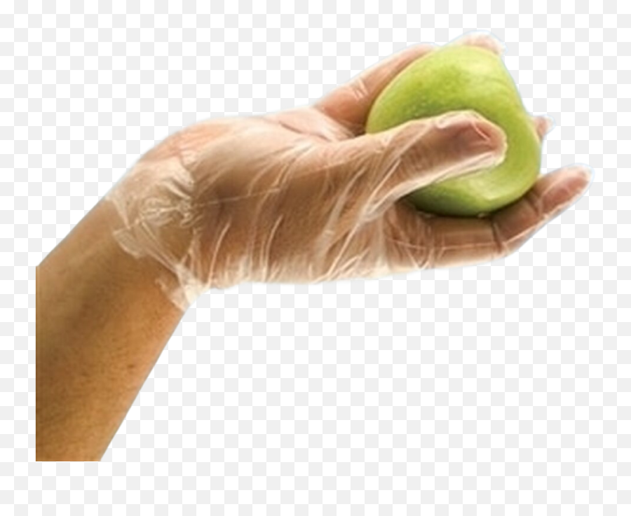 The Best Food Handling Gloves - Our Top 22 Updated For 2022 Diet Food Png,Icon Super Duty Gloves