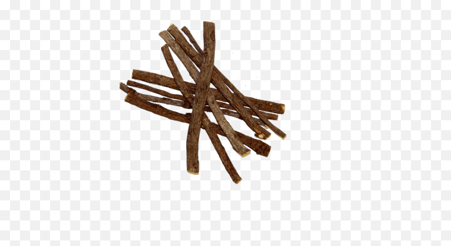 Dispose Of Or Recycle Sticks Twigs - Sticks Png,Twigs Png
