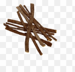 Dispose Of Or Recycle Sticks Twigs - Png