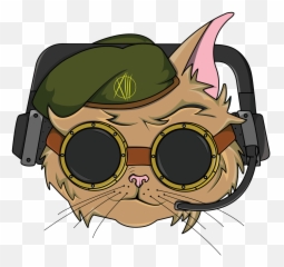 Mlg Glasses Png Transparent - Military Cat Mascot Logo