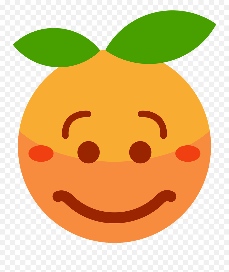 Clementine Orange Cartoon - Orange Face Cartoon Drawing Png,Clementine Png